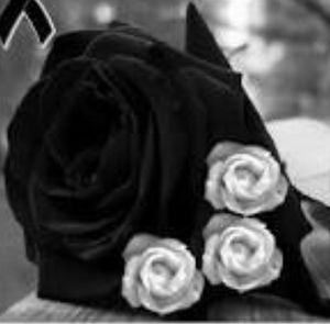 Meet your Posher, Susy